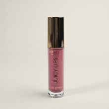 Cargar imagen en el visor de la galería, LIP GLOSS JUICY LIPS CON ACIDO HIALURONICO MONTOC