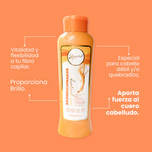 Cargar imagen en el visor de la galería, ACONDICIONADOR CON GINGSENG ANYELUZ
