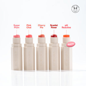 RUBOR STICK PH ATENEA