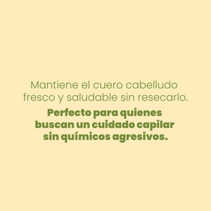 SHAMPOO CON MANZANILLA ANYELUZ