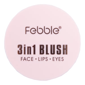 RUBOR 3 EN 1 FEBBLE